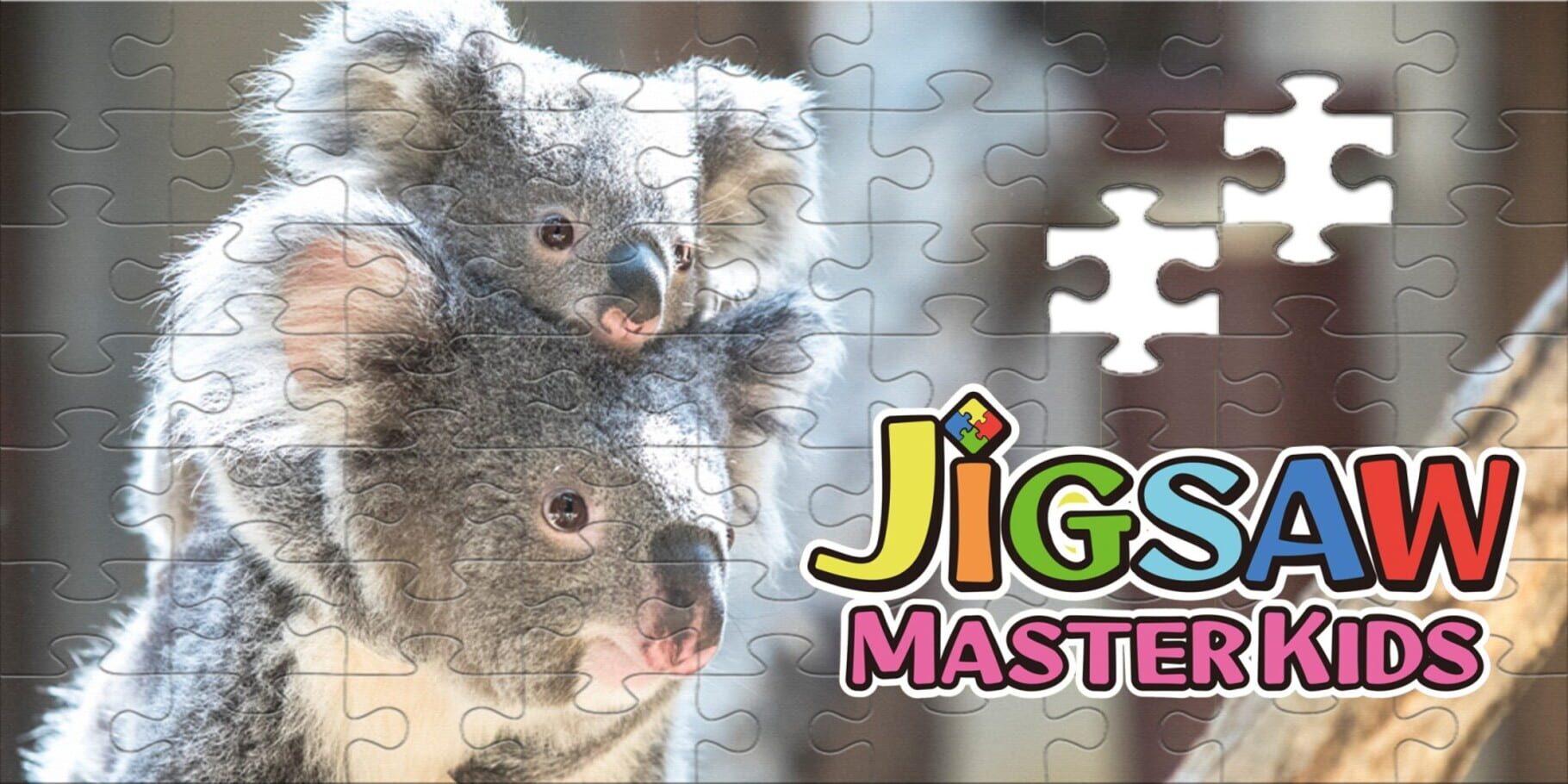 Jigsaw Master Kids artwork