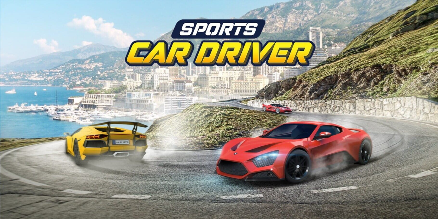 Sports Car Driver artwork