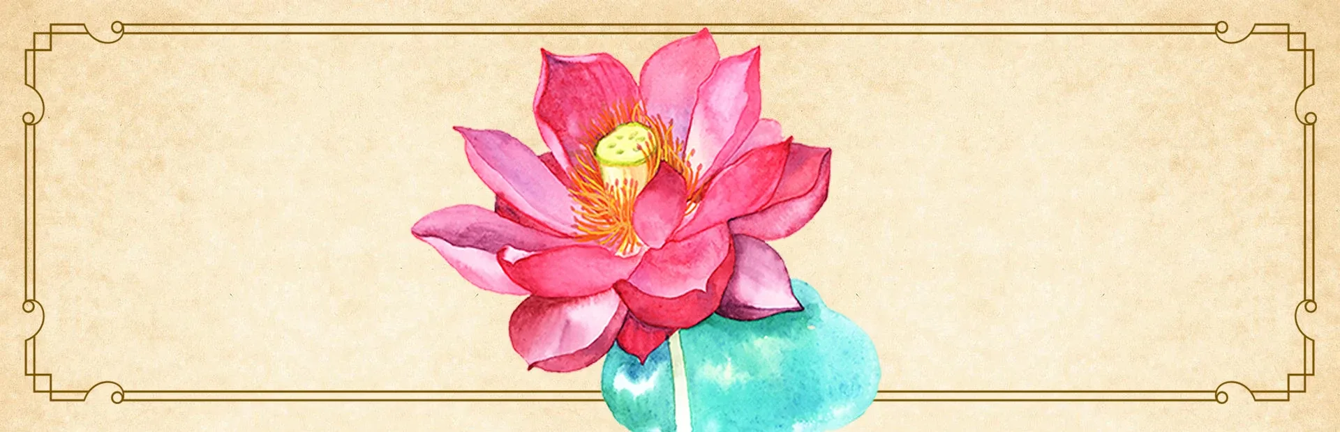 The Lotus