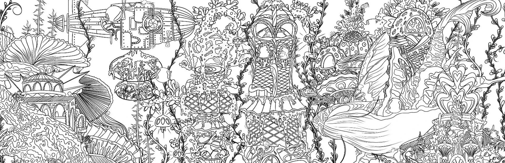 Search All: Seashells