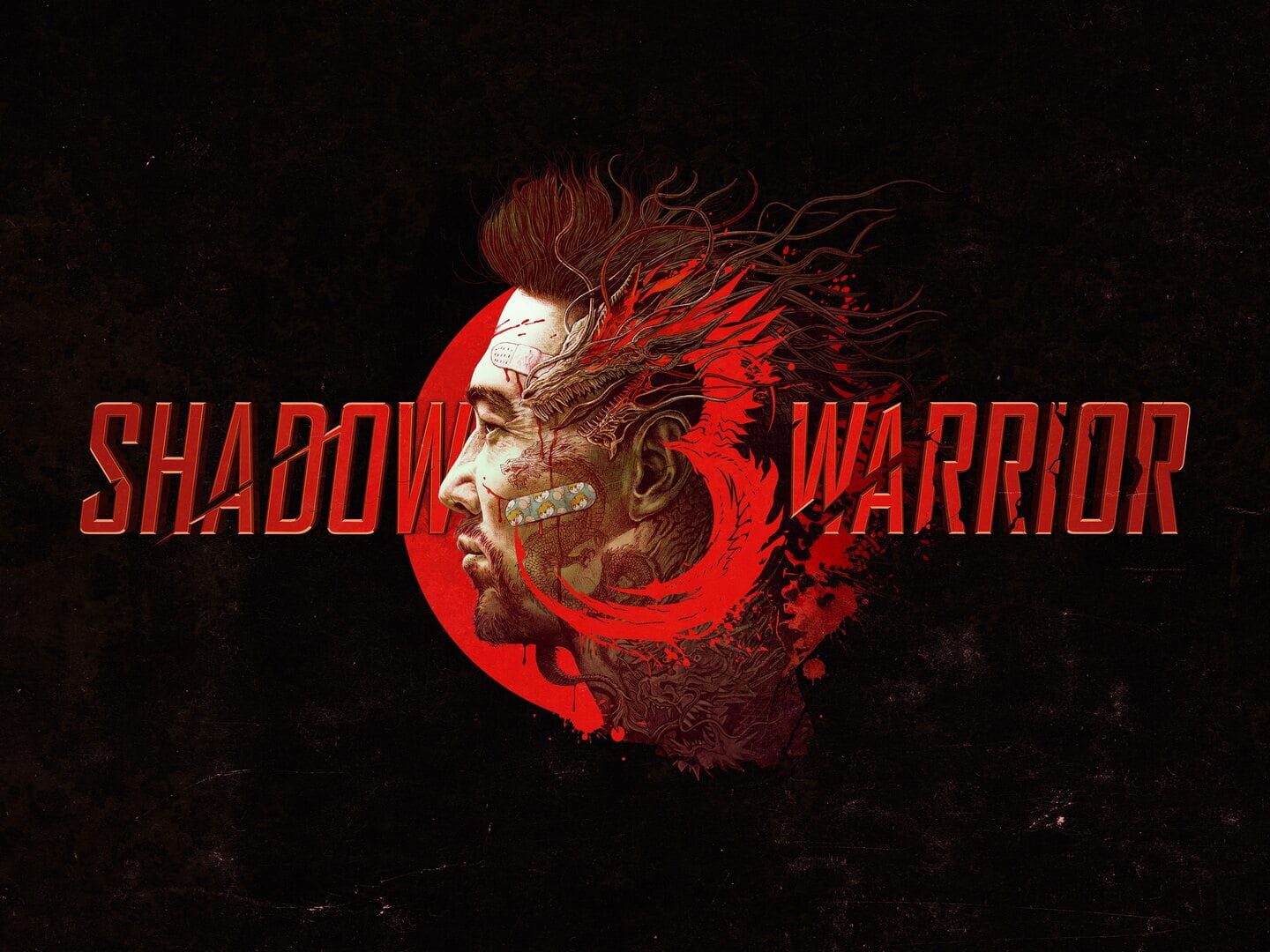 Arte - Shadow Warrior 3