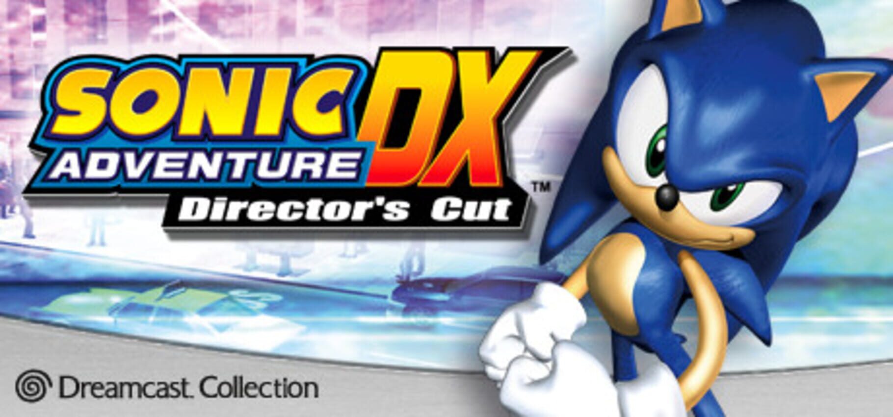 Arte - Sonic Adventure DX: Director's Cut