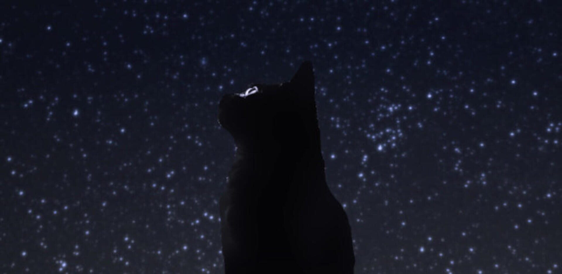 artwork 1