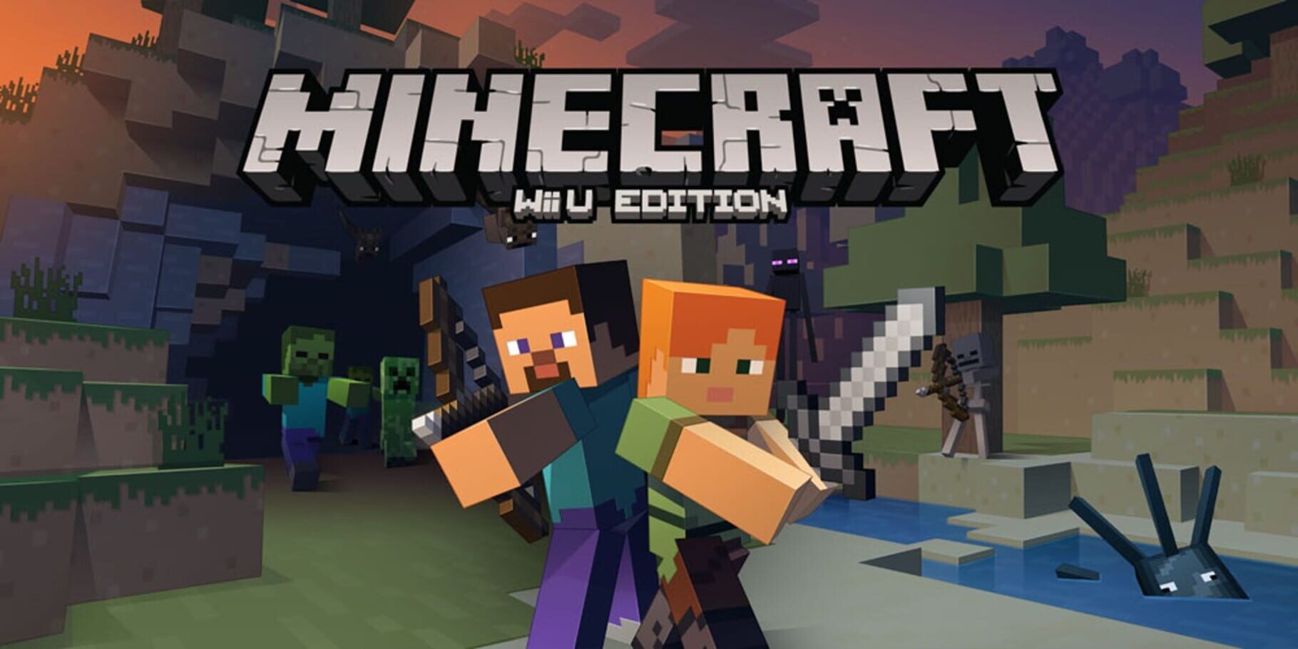 Arte - Minecraft: Wii U Edition