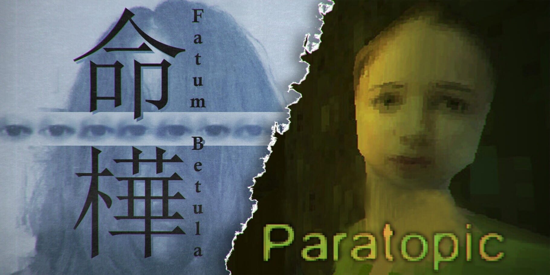 Horror Bundle: Paratopic + Fatum Betula artwork