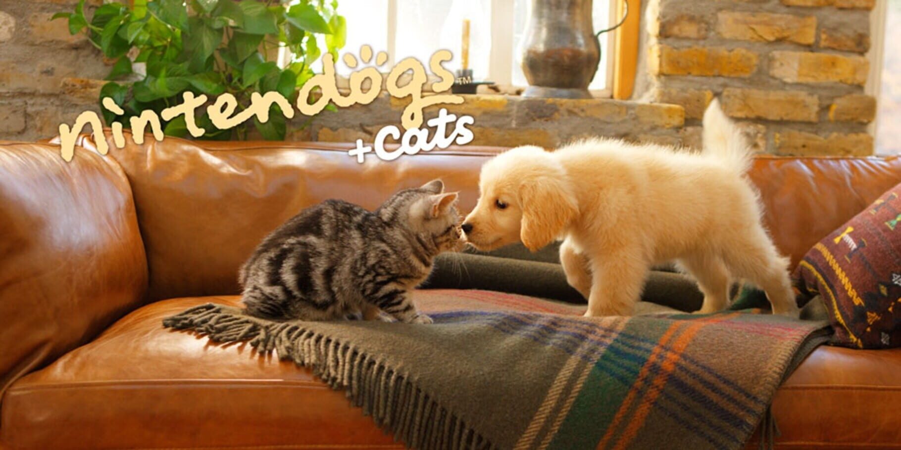 Arte - Nintendogs + Cats: Golden Retriever & New Friends