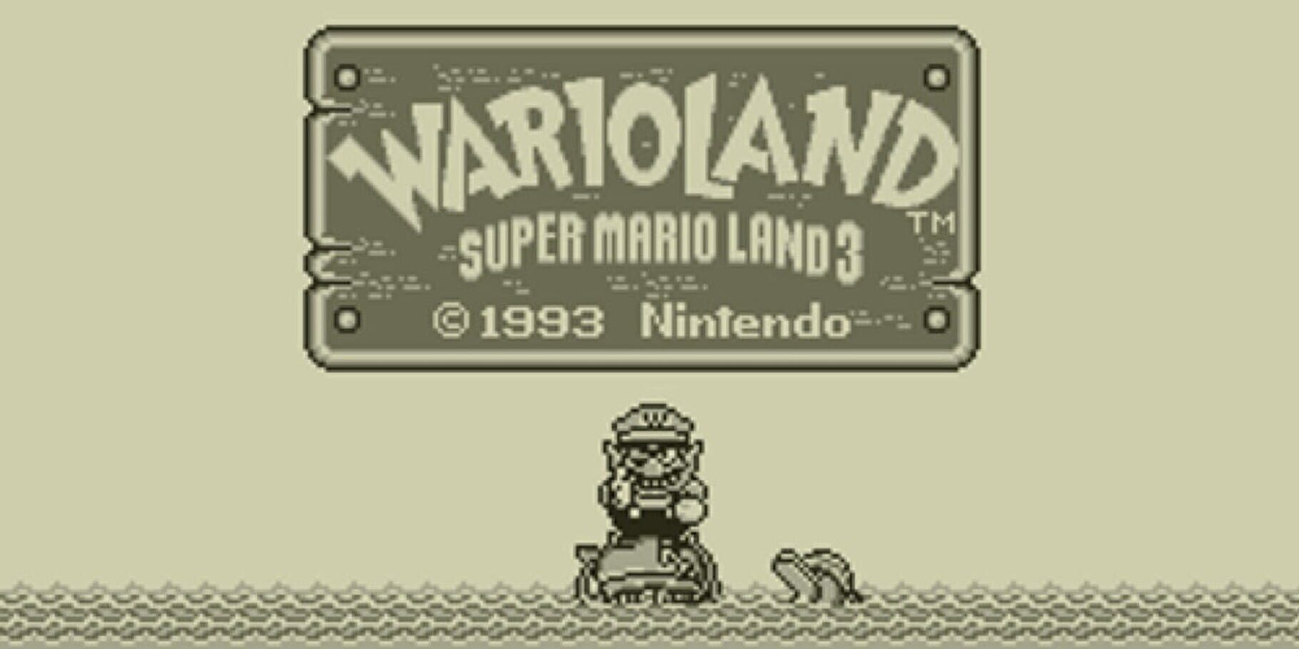 Arte - Wario Land: Super Mario Land 3