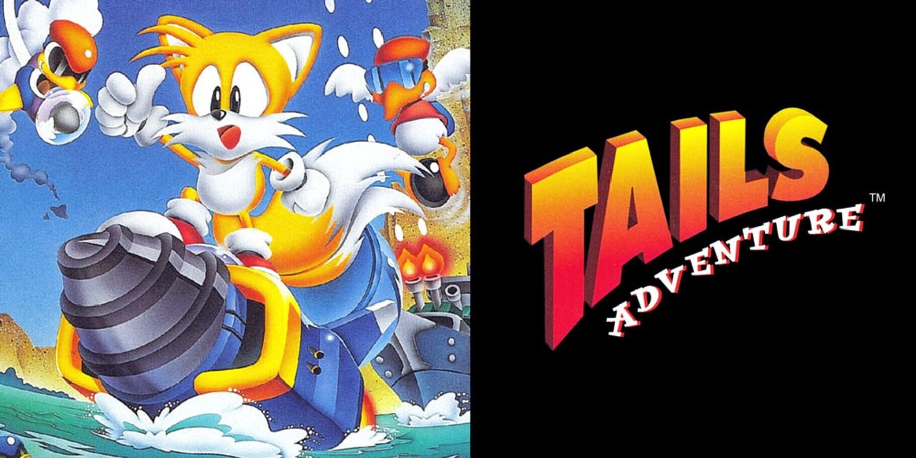 Tails Adventure artwork