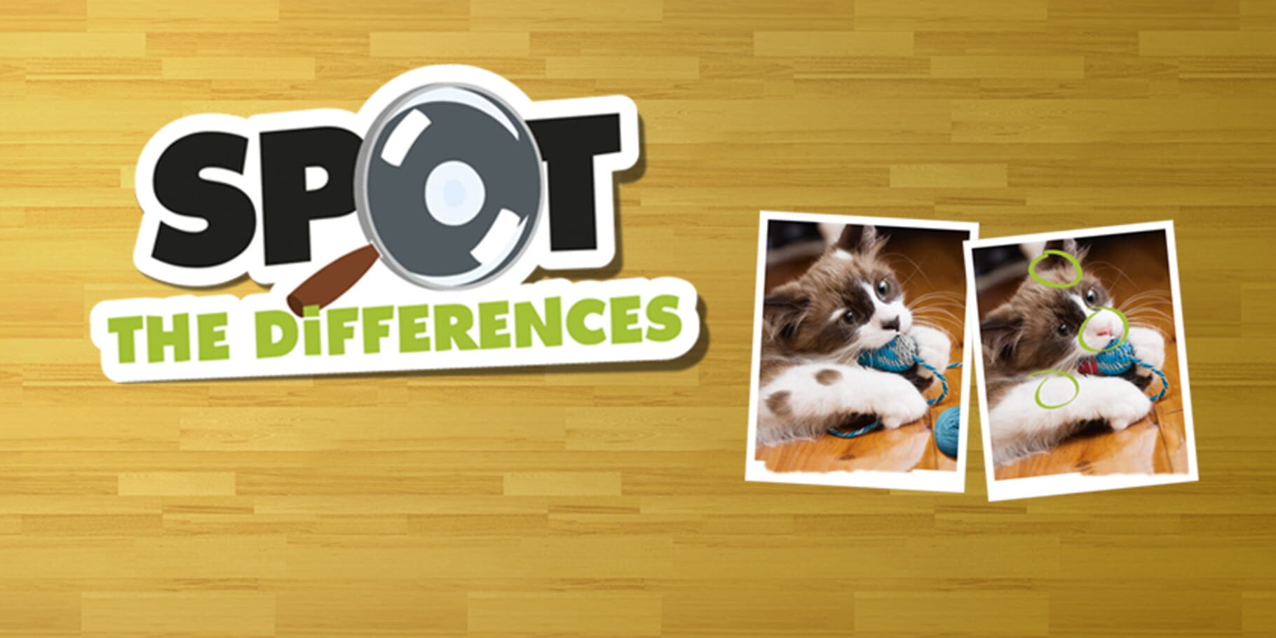 Arte - Spot the Differences!