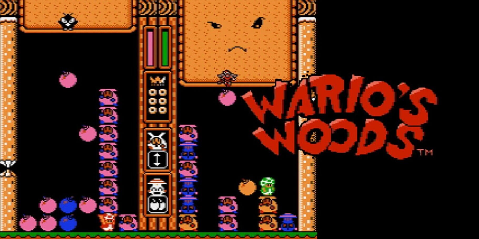 Arte - Wario's Woods