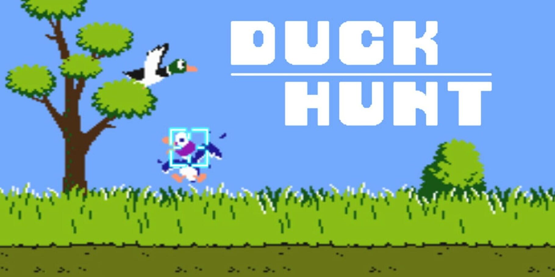 Arte - Duck Hunt