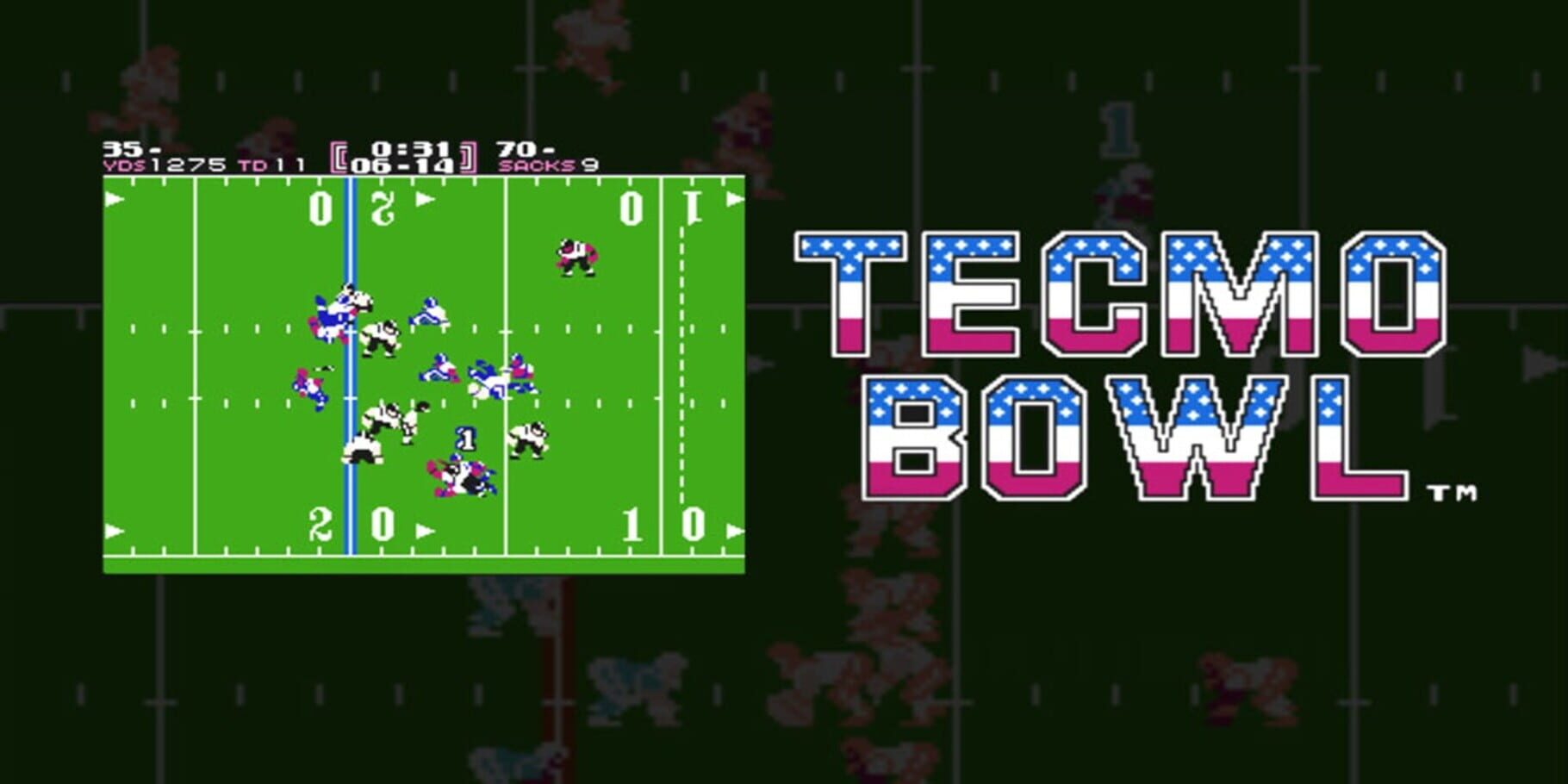 Arte - Tecmo Bowl