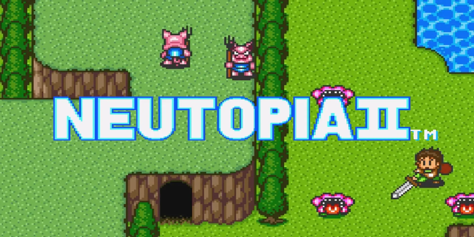 Neutopia II