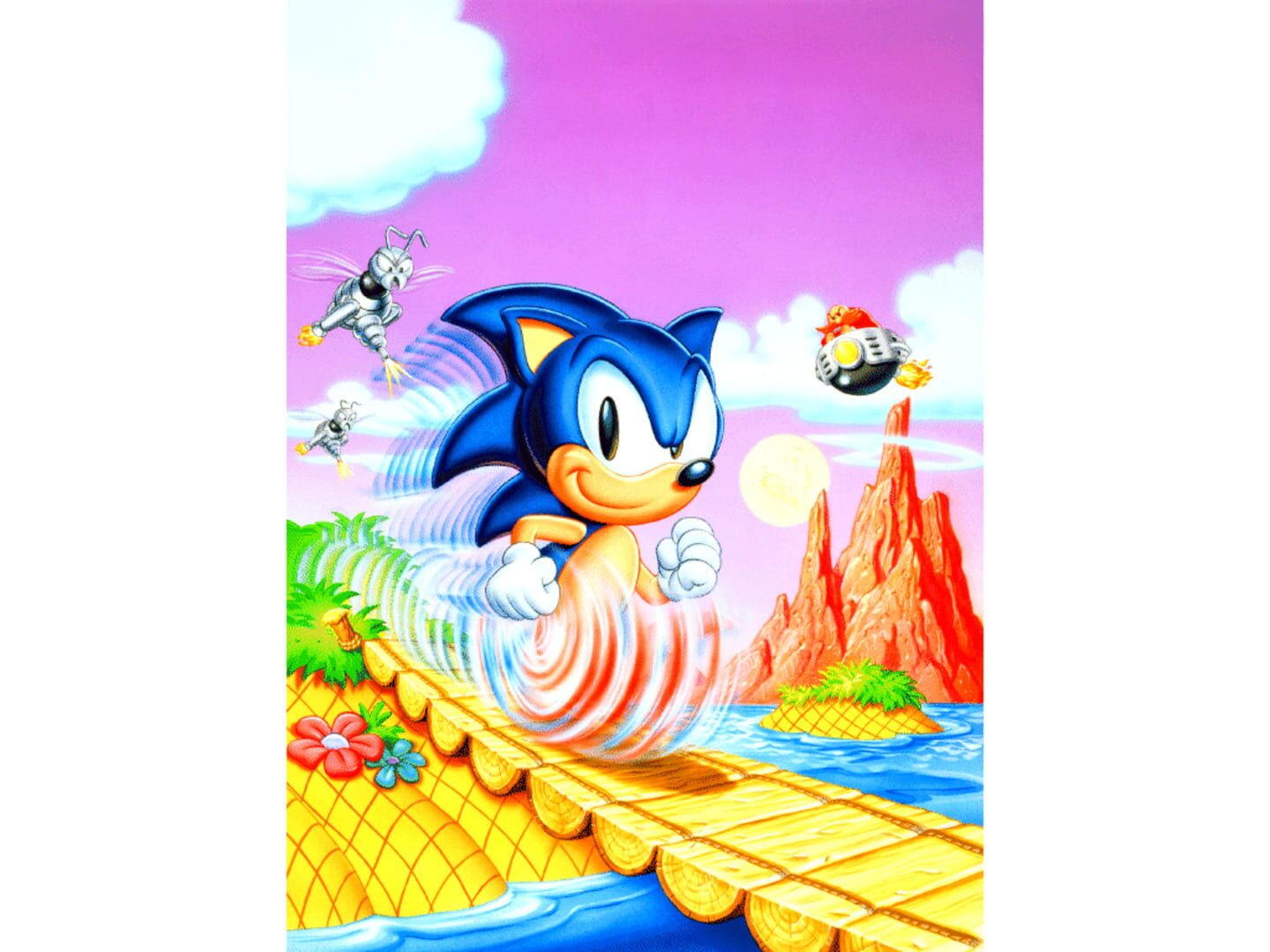 Arte - Sonic the Hedgehog