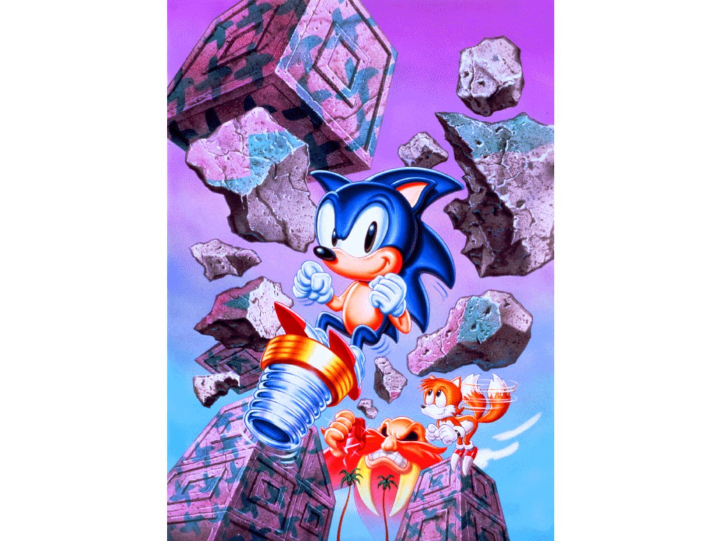 Sonic the Hedgehog Chaos artwork