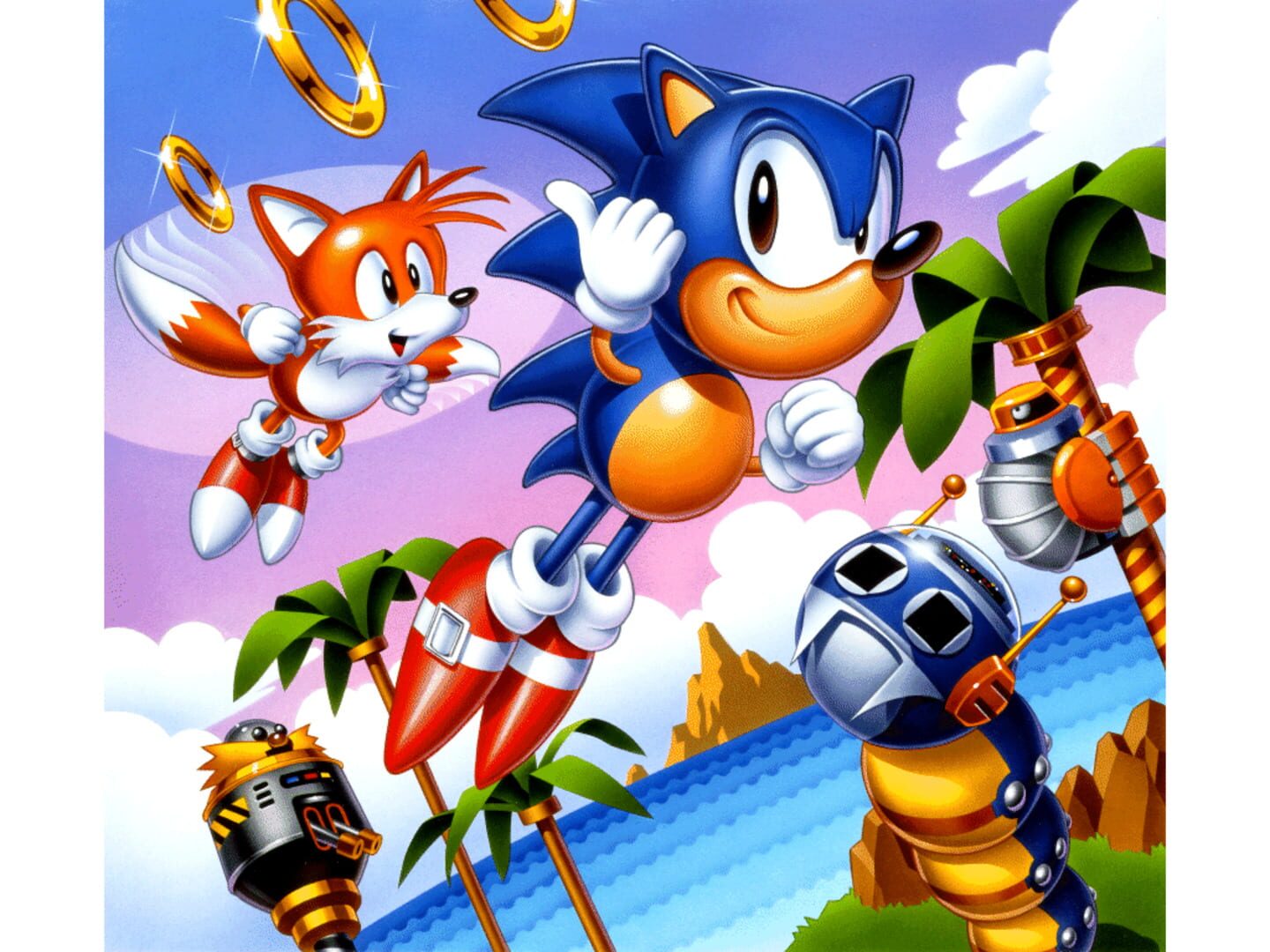 Sonic the Hedgehog Chaos artwork