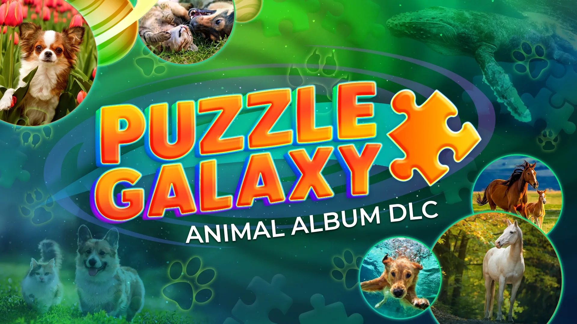Puzzle Galaxy: Animal Album