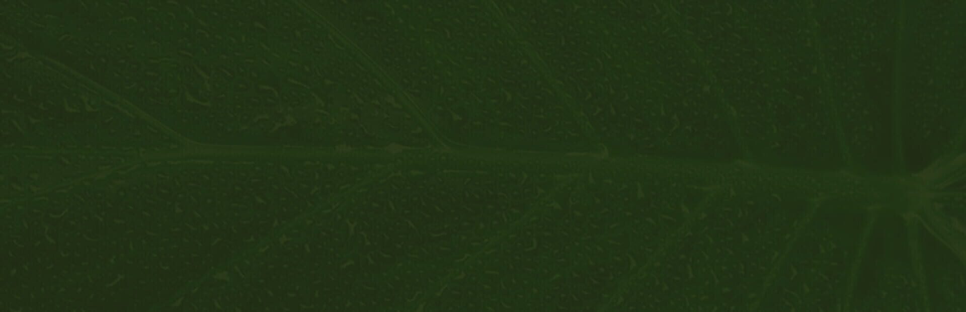 artwork 1