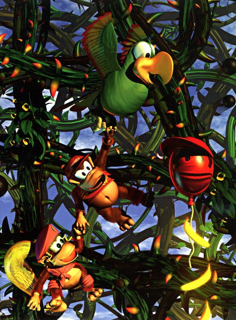 Arte - Donkey Kong Country 2: Diddy's Kong Quest