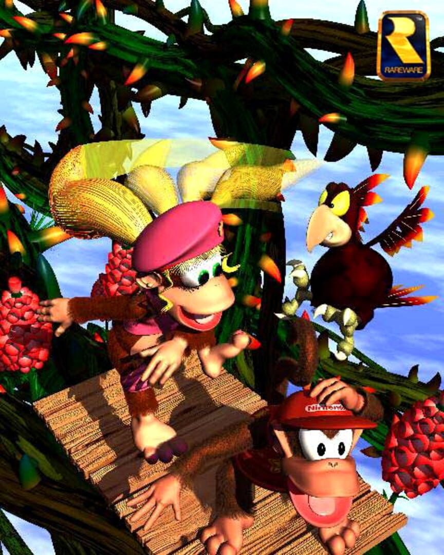 Donkey Kong Country 2: Diddy's Kong Quest Image