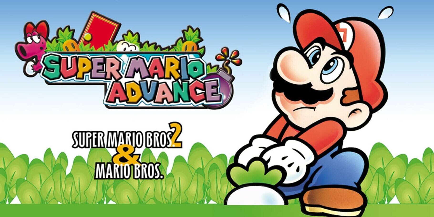 Arte - Super Mario Advance