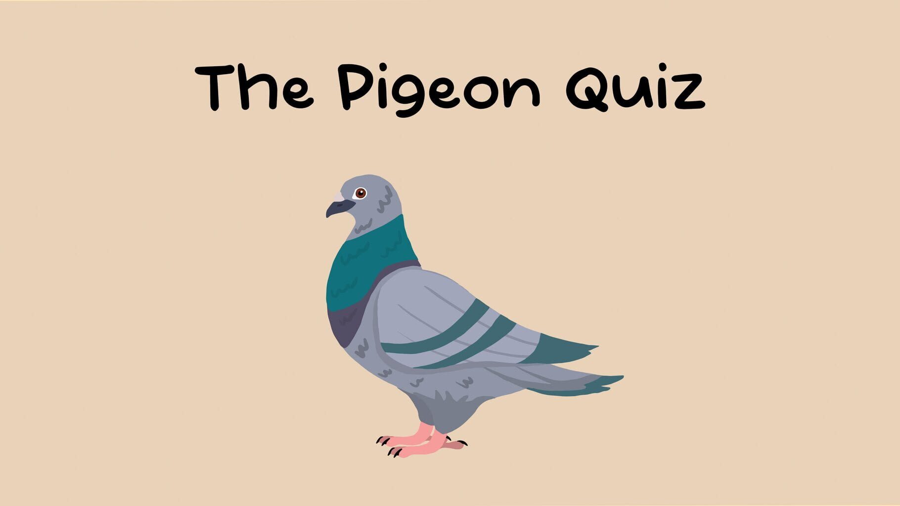 Arte - The Pigeon Quiz