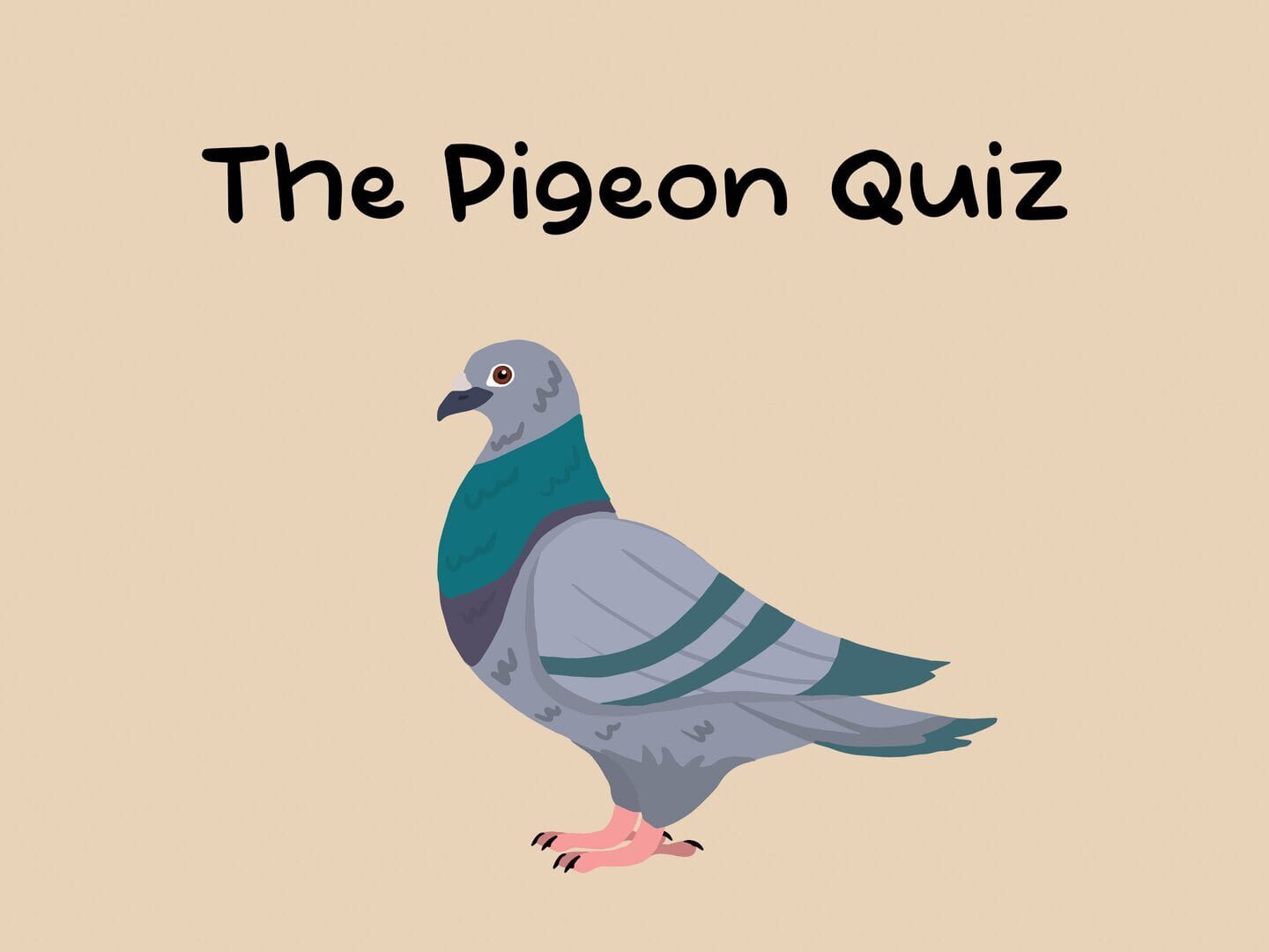 Arte - The Pigeon Quiz