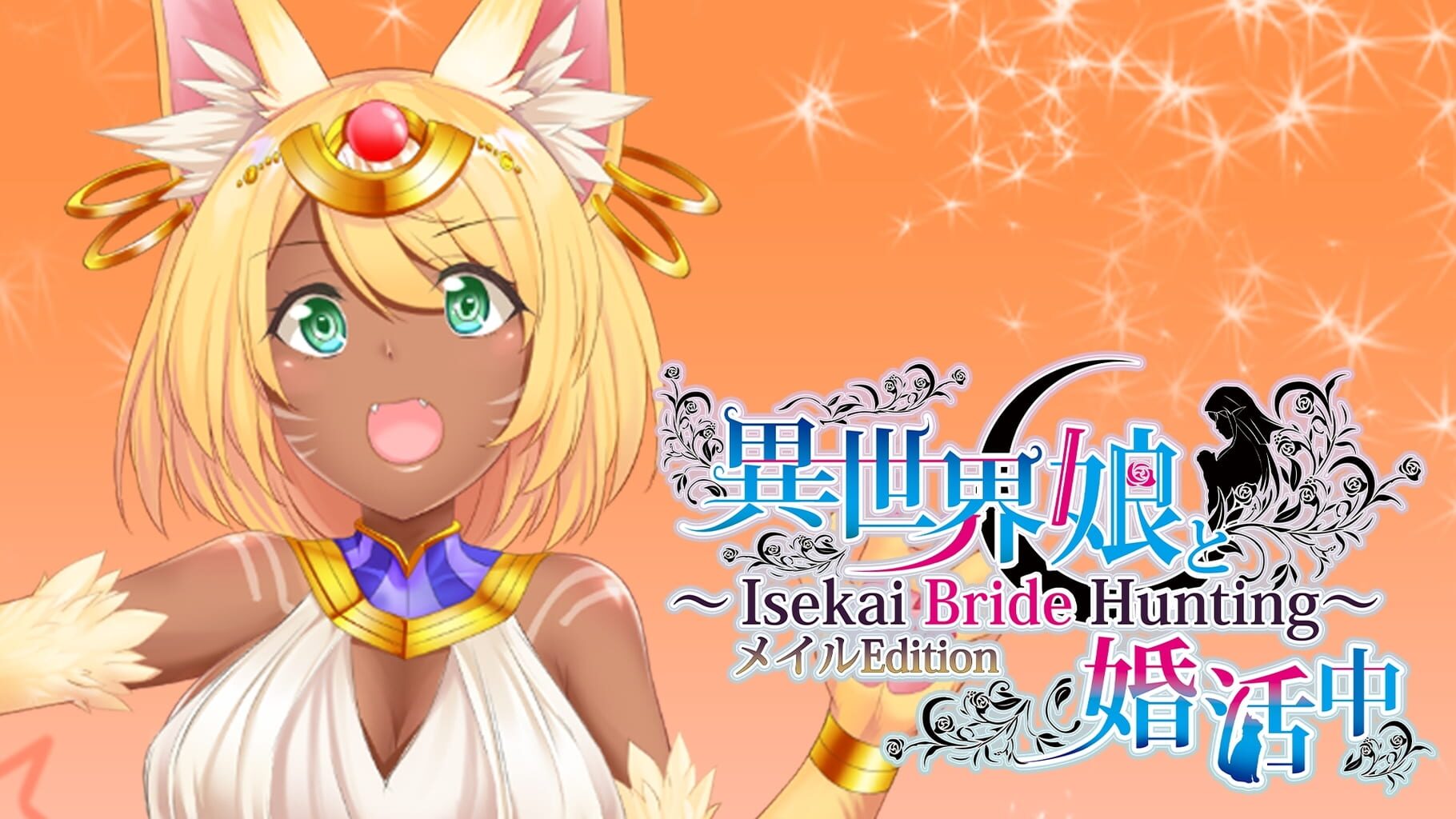 Isekai Musume to Konkatsuchuu: Isekai Bride Hunting - Meir Edition artwork