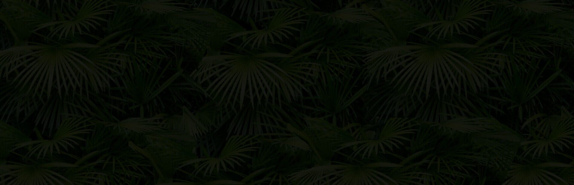 artwork 1