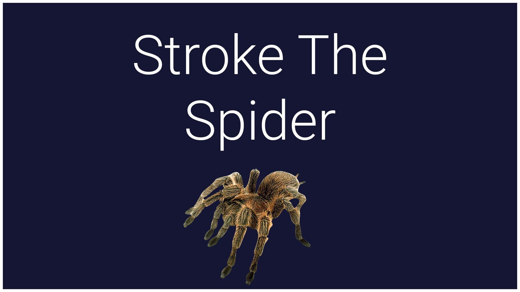 Arte - Stroke the Spider