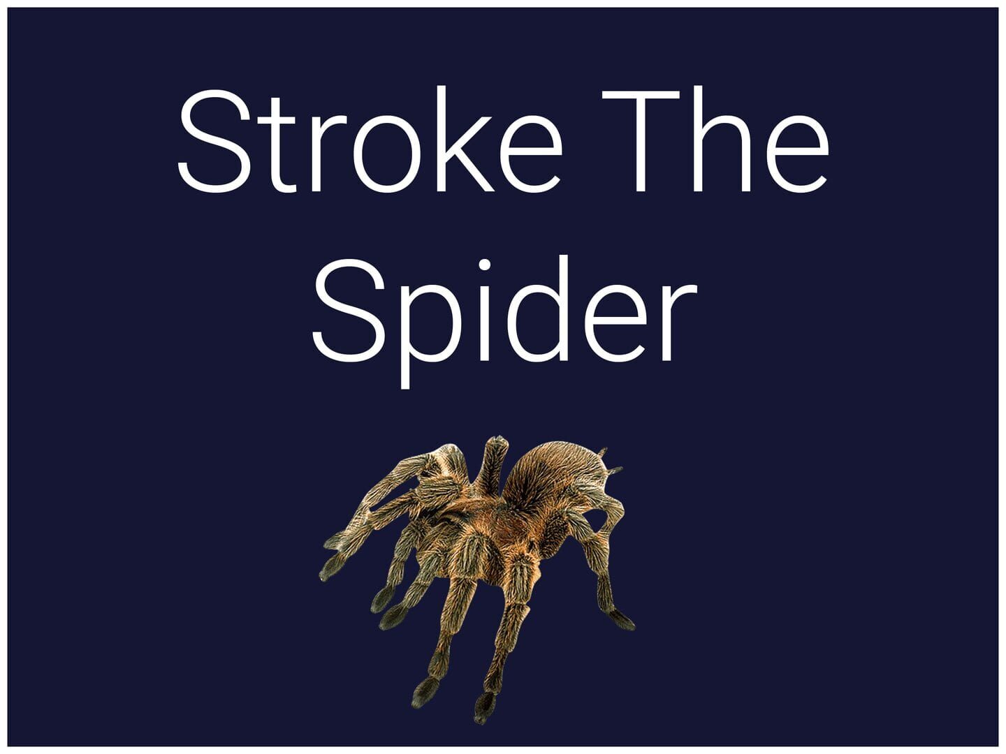 Arte - Stroke the Spider