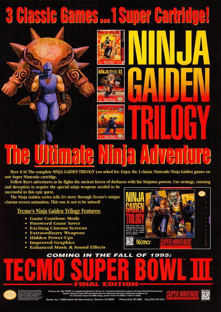 Arte - Ninja Gaiden Trilogy