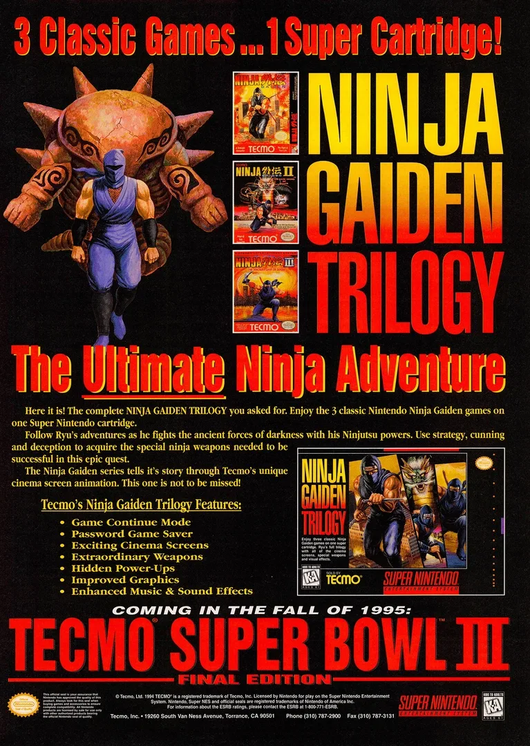 Arte - Ninja Gaiden Trilogy