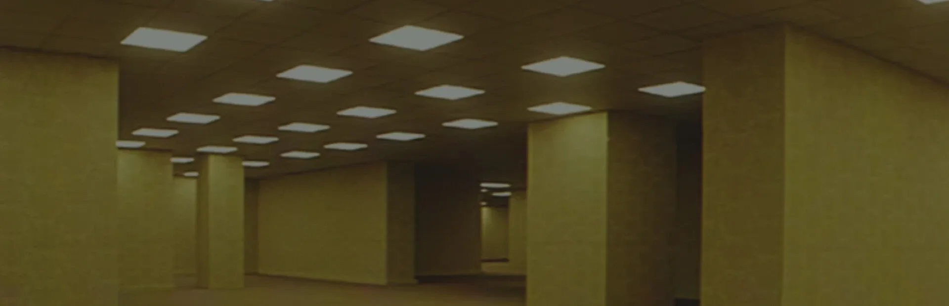 Lost in the Backrooms