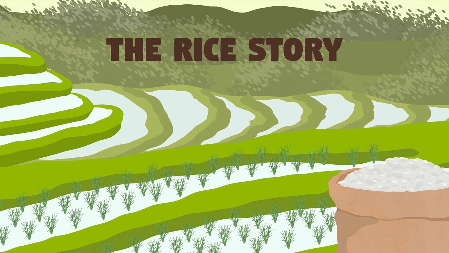 Arte - The Rice Story