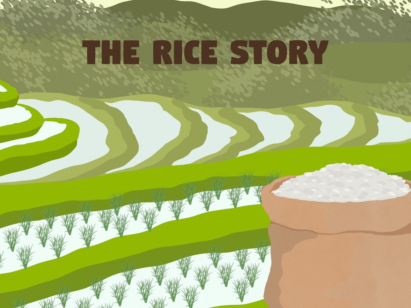 Arte - The Rice Story