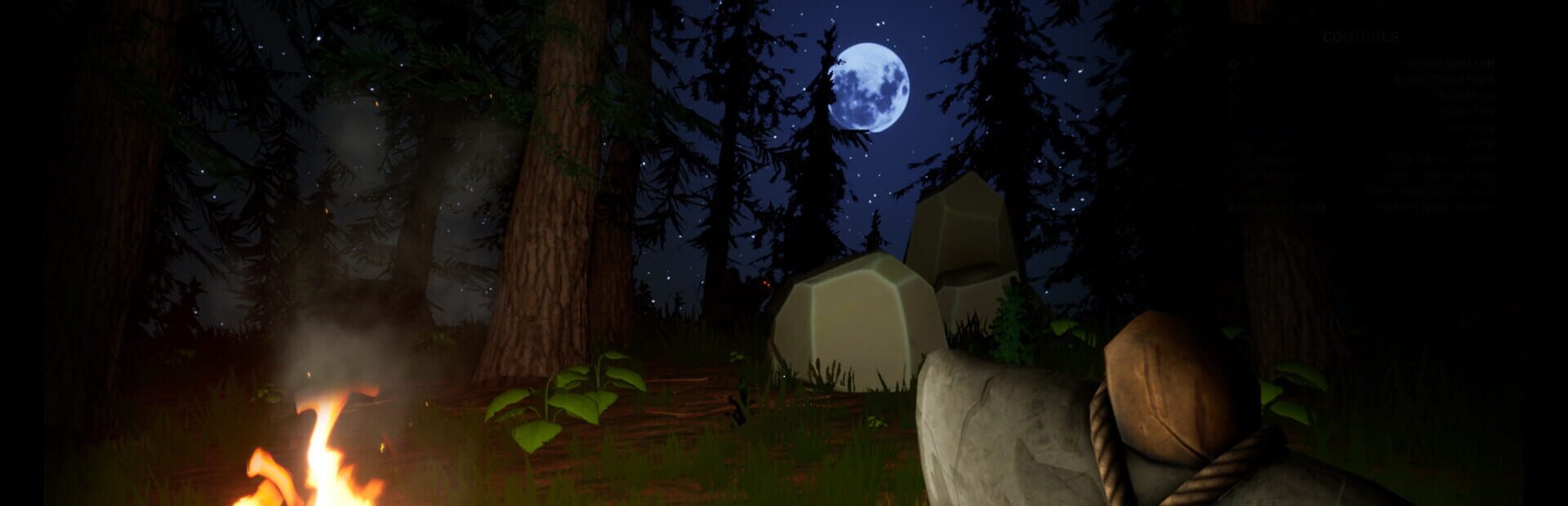 Artwork for The Woods