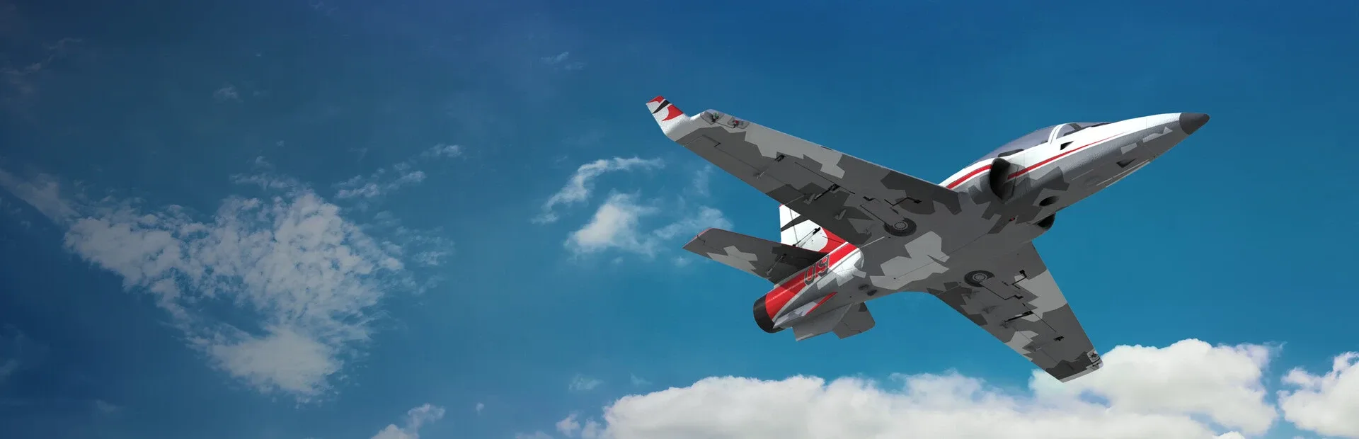 RealFlight Evolution