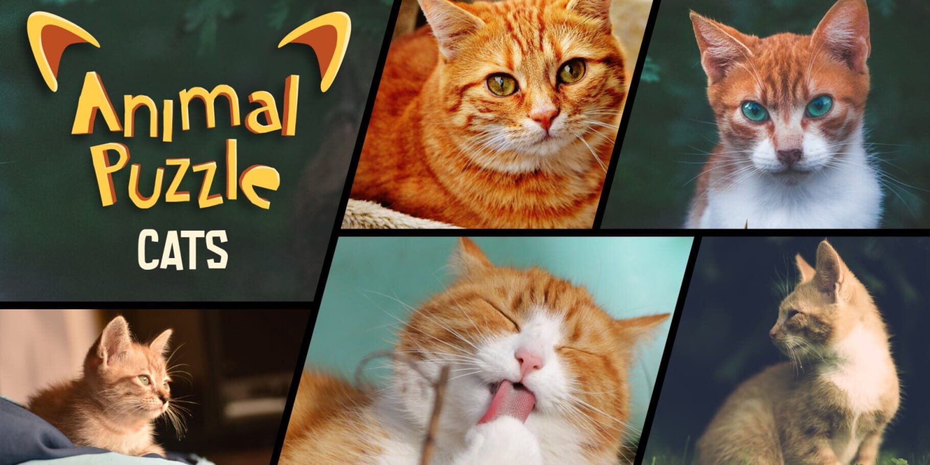 Animal Puzzle Cats artwork