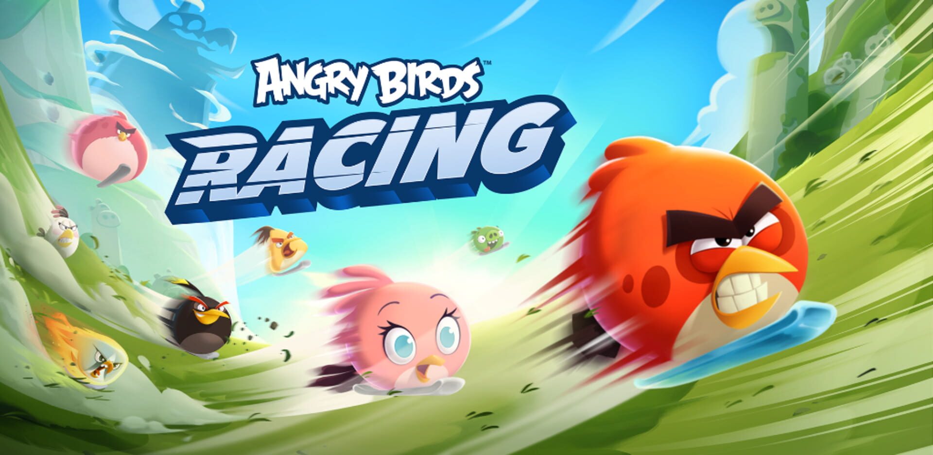 Artwork for Angry Birds Racing