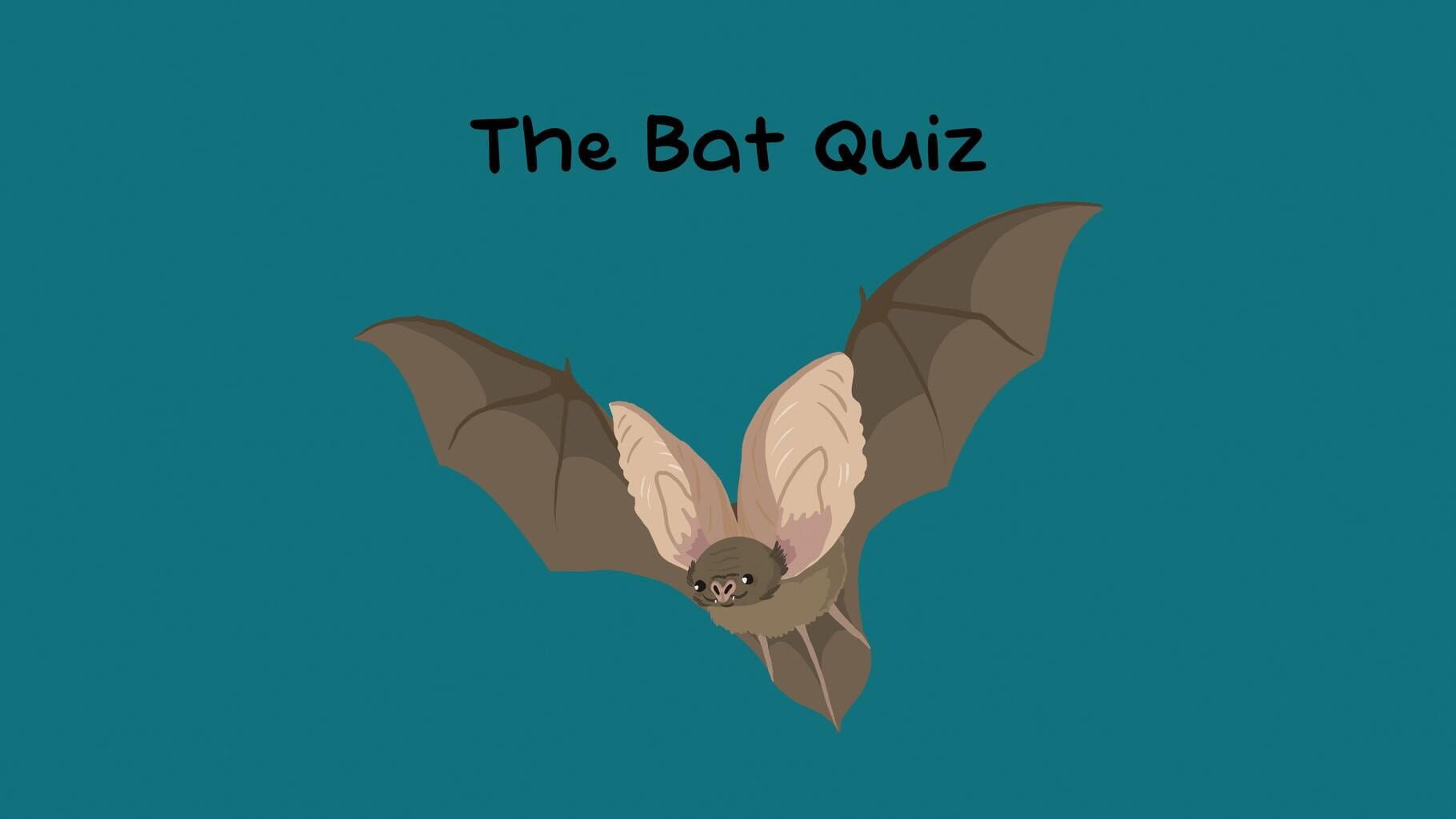 Arte - The Bat Quiz