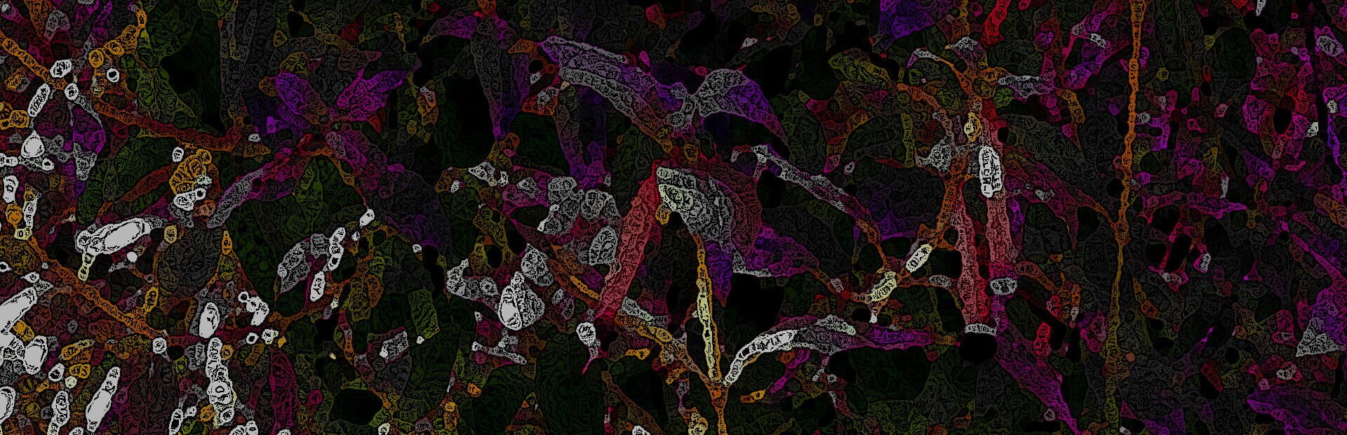 artwork 1
