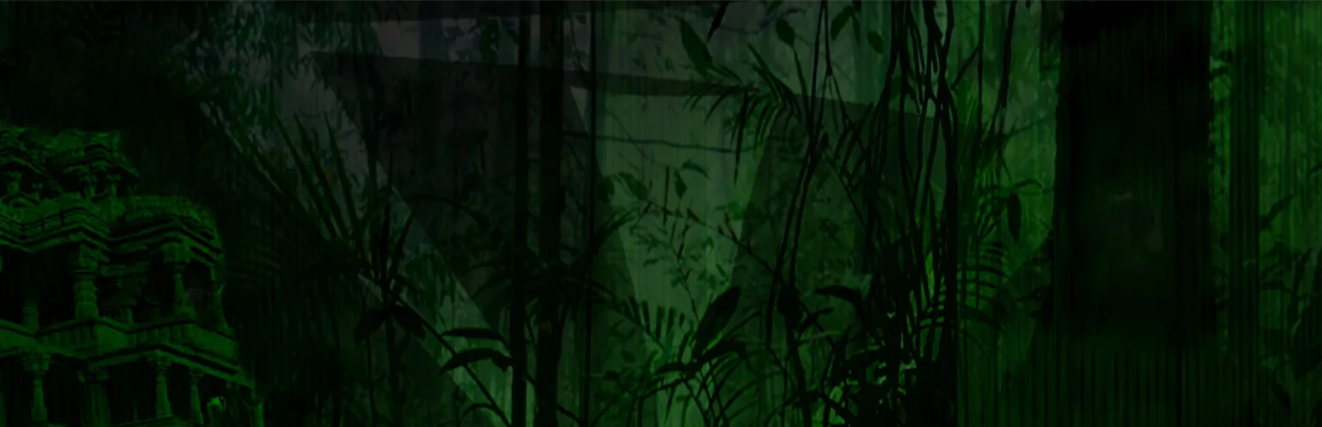 Myristica