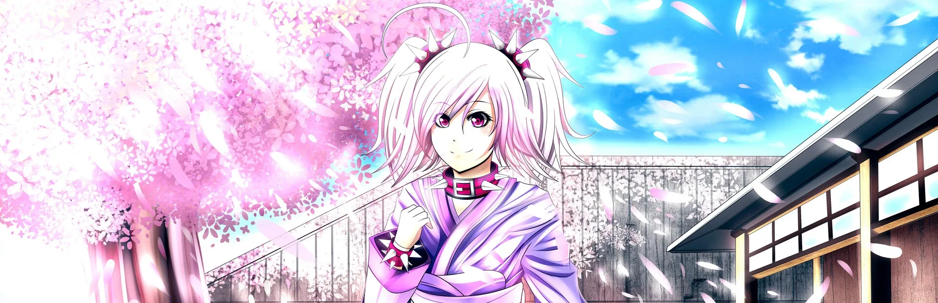 The Clans - Saga of the Twins