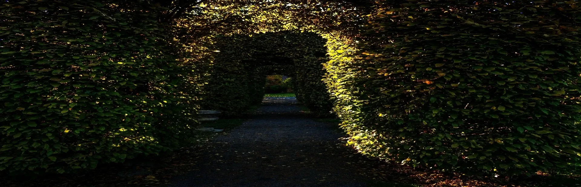 Deadly Maze