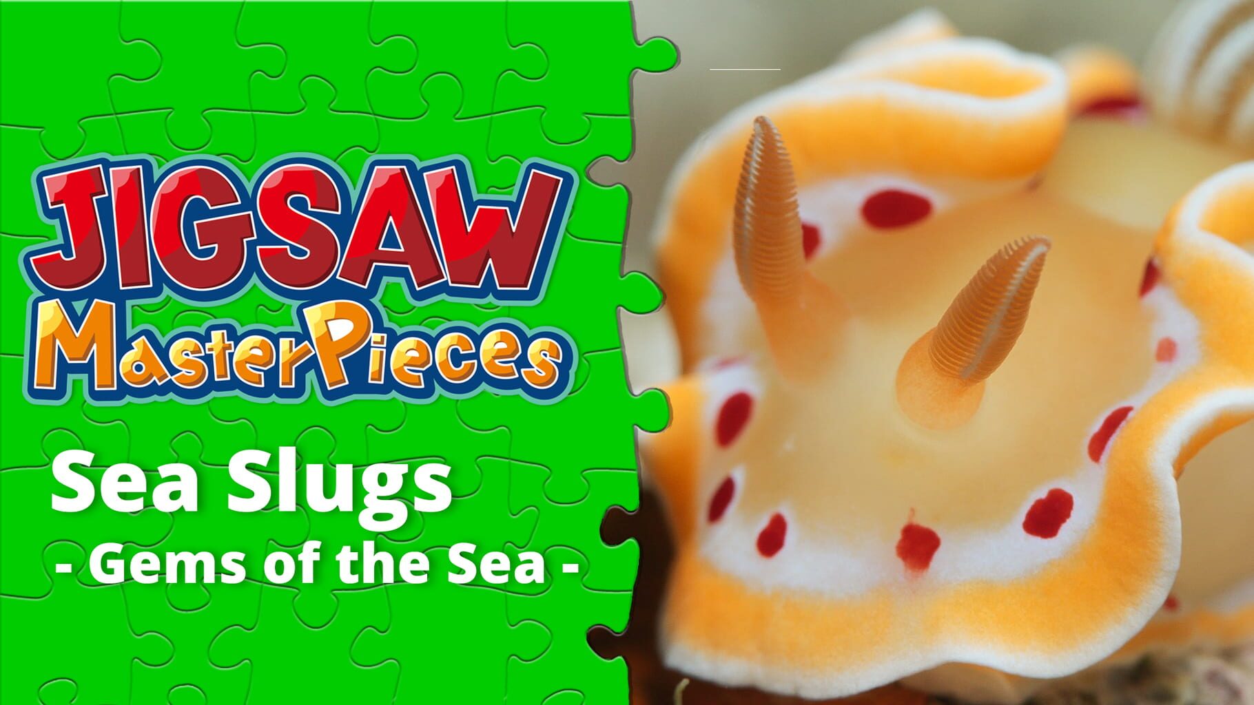 Jigsaw Masterpieces: Sea Slugs - Gems of the Sea artwork