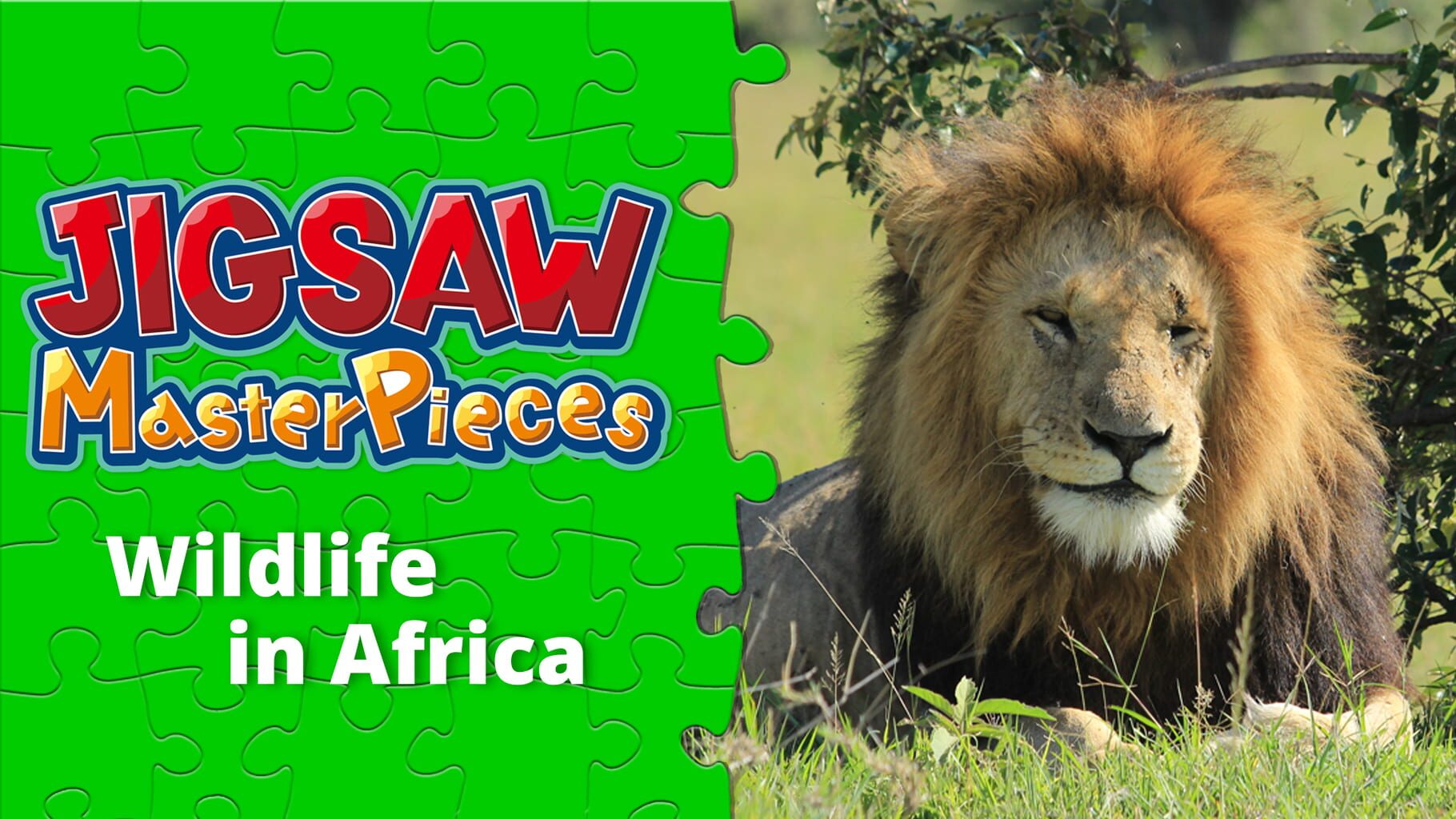 Jigsaw Masterpieces: Wildlife in Africa artwork