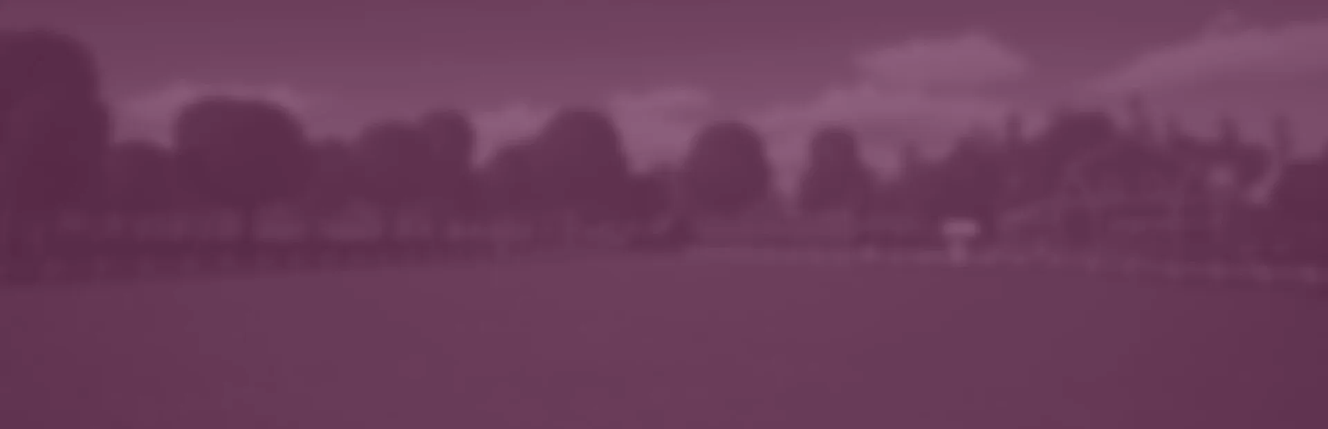 My First Horse: Adventures on Seahorse Island