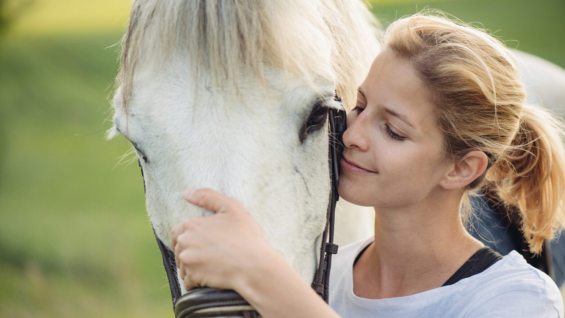 Arte - Living with Horses: My Horse Farm