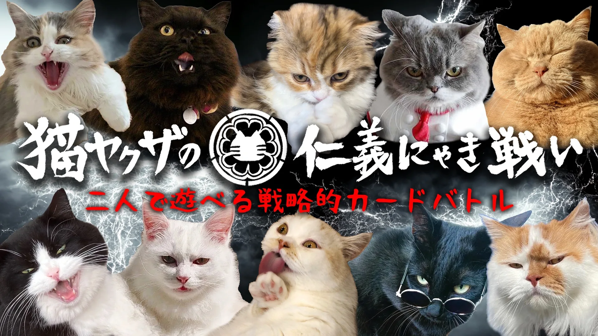 Cats Yakuza